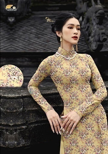 Thomas Nguyen Fabric