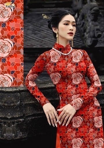 Thomas Nguyen Fabric