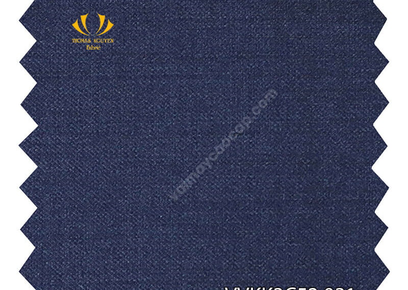 Thomas Nguyen Fabric