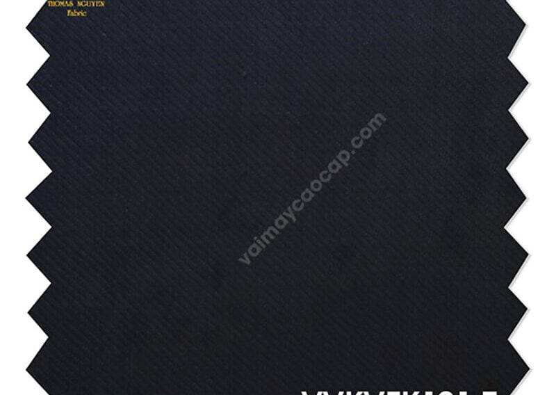 Thomas Nguyen Fabric